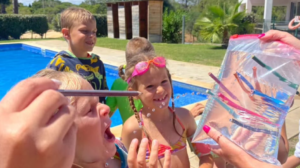 fun & games & ais summer school