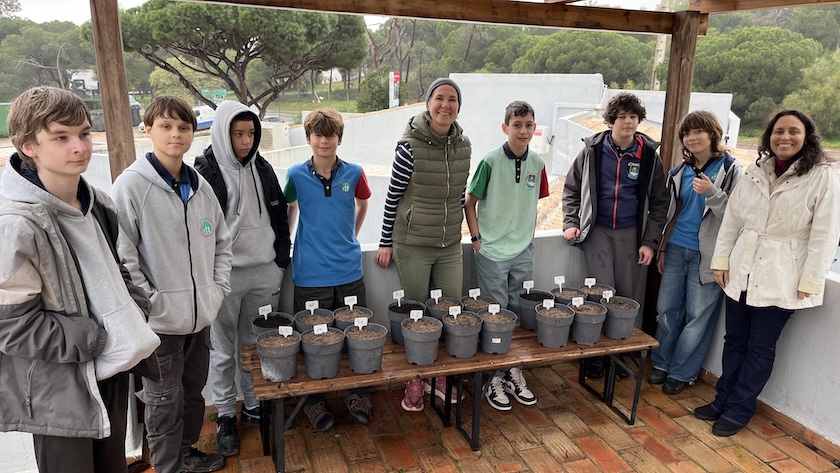 international general certificate of secondary education