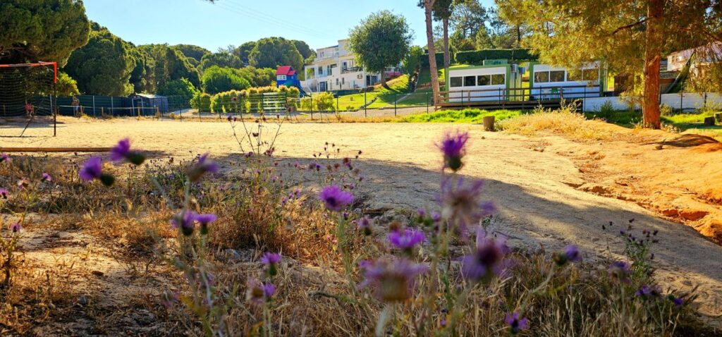 join the aspire journey