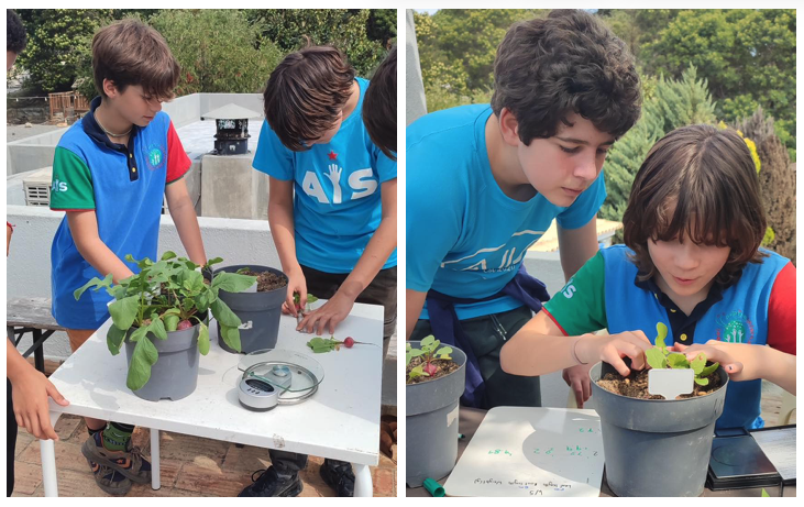 from seed to science exploring soil health at aspire